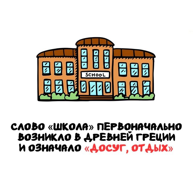 Интересные короткие факты на все случаи жизни
