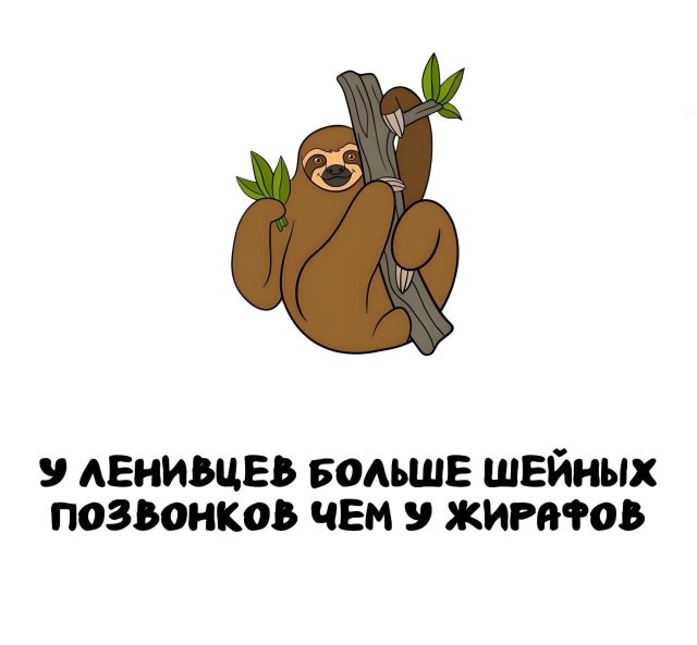 Интересные короткие факты на все случаи жизни