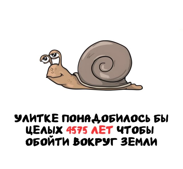 Интересные короткие факты на все случаи жизни