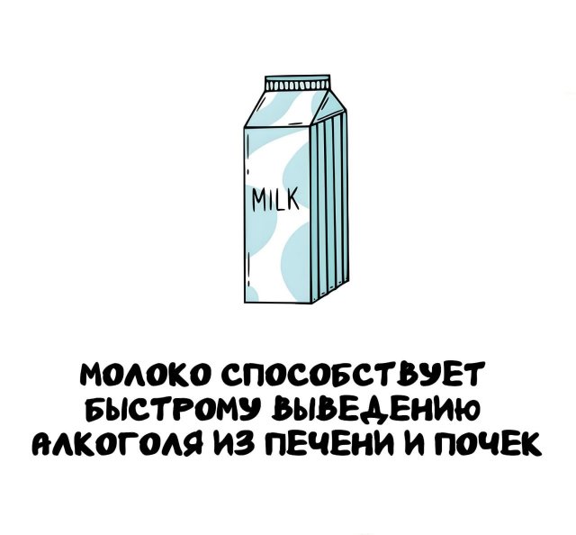 Интересные короткие факты на все случаи жизни