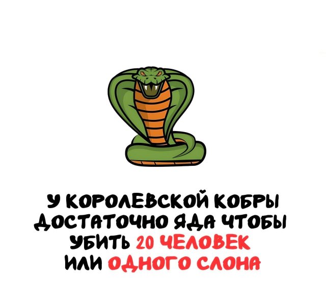 Интересные короткие факты на все случаи жизни