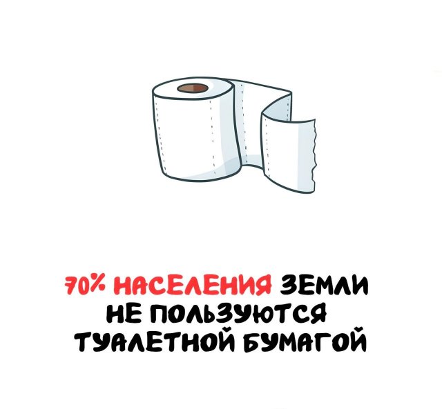 Интересные короткие факты на все случаи жизни
