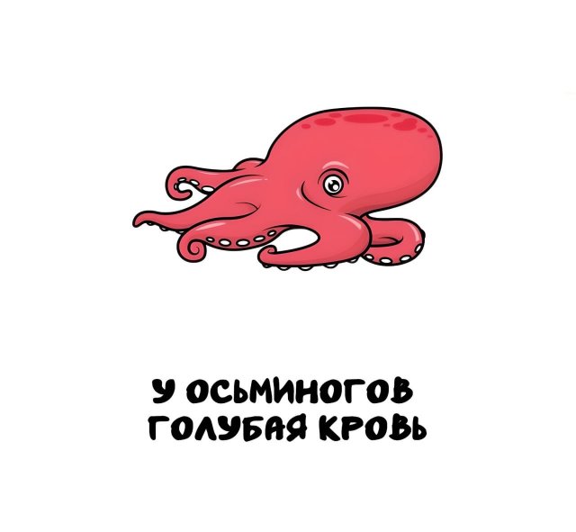 Интересные короткие факты на все случаи жизни