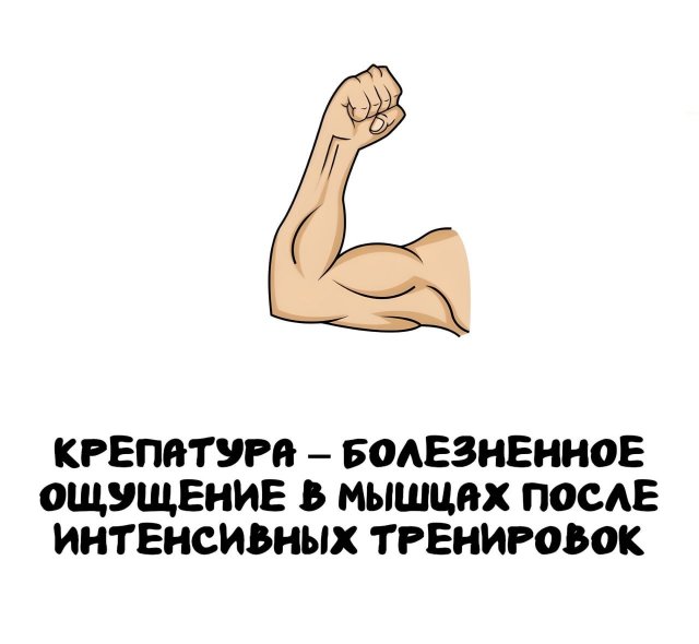 Интересные короткие факты на все случаи жизни