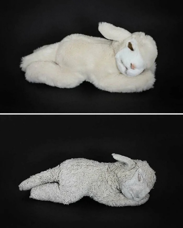 Уникальные моменты на снимках, которые покажут разнообразие мира