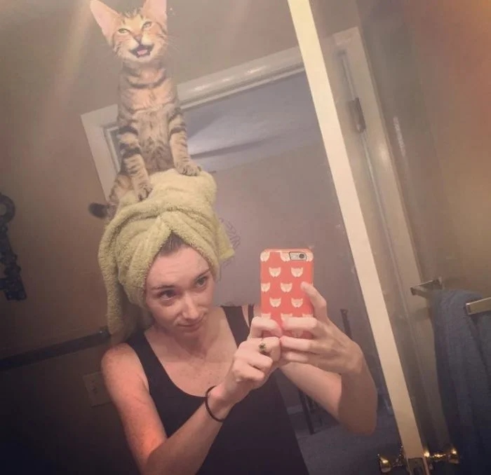 Фотографии нахальных котеек, которые просто залезли на голову