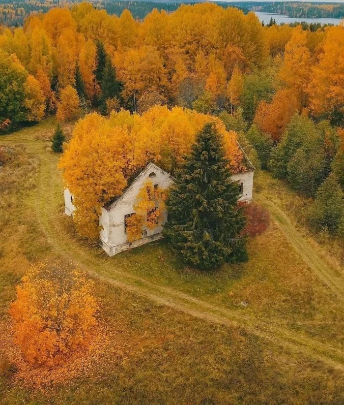 Неумолимая сила природы, которая возвращает своё на снимках