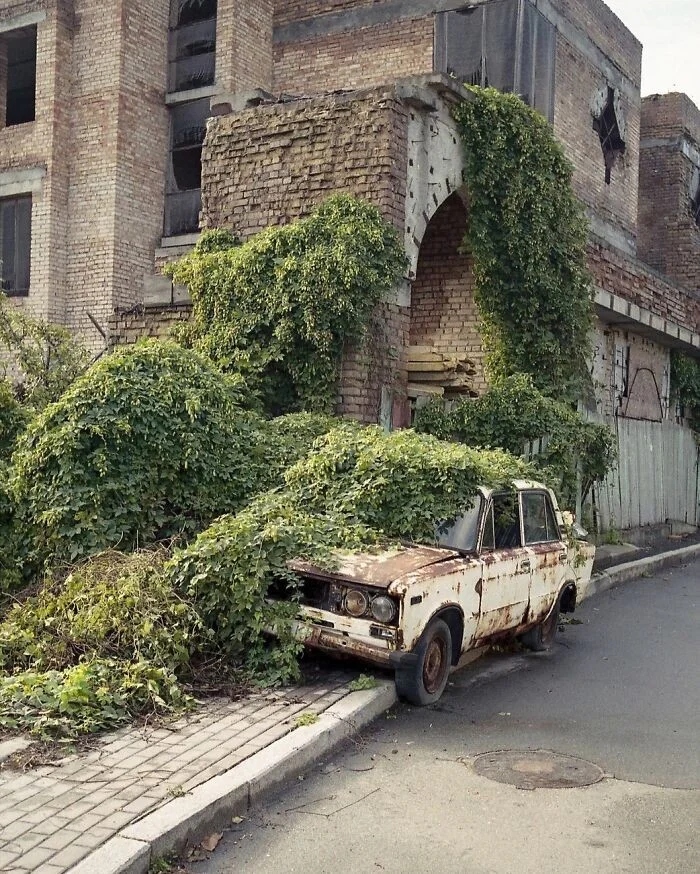 Неумолимая сила природы, которая возвращает своё на снимках