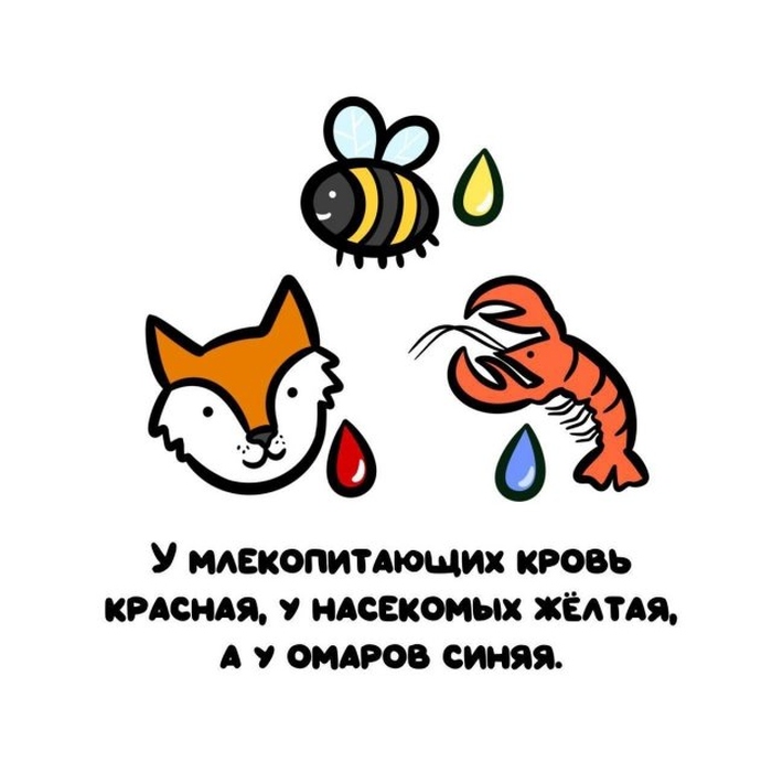 Интересные короткие факты на все случаи жизни