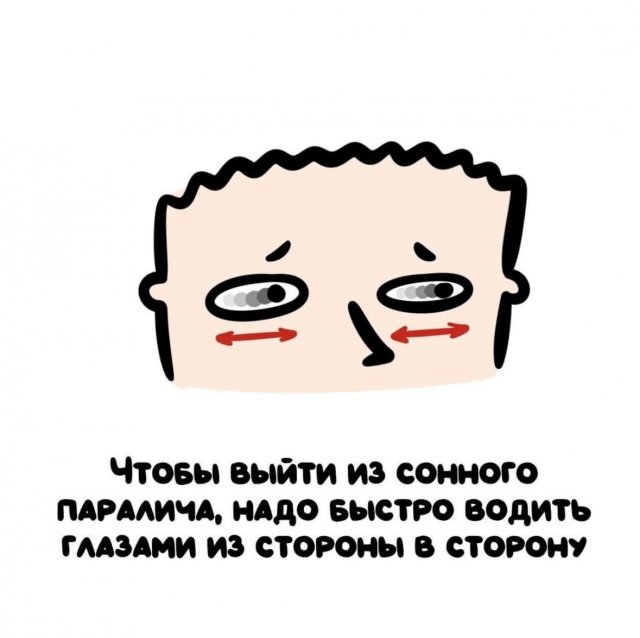 Интересные короткие факты на все случаи жизни
