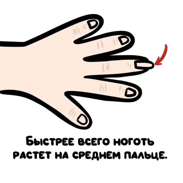 Интересные короткие факты на все случаи жизни