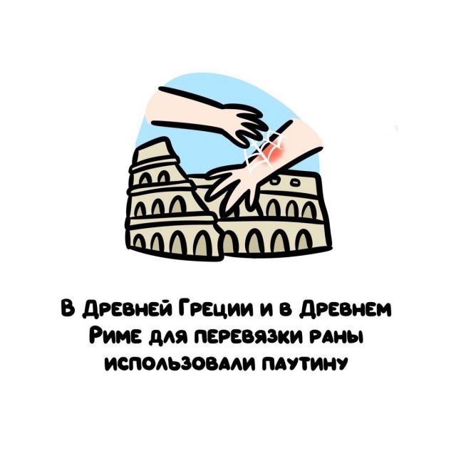 Интересные короткие факты на все случаи жизни