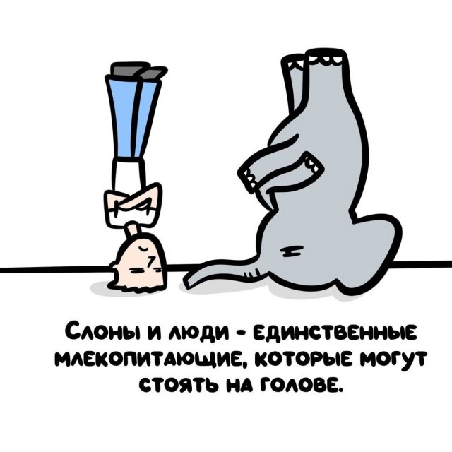 Интересные короткие факты на все случаи жизни