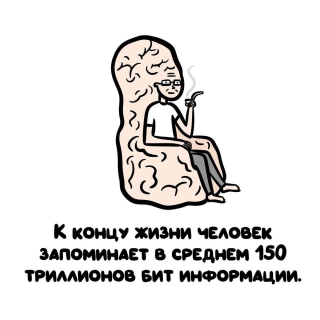 Интересные короткие факты на все случаи жизни