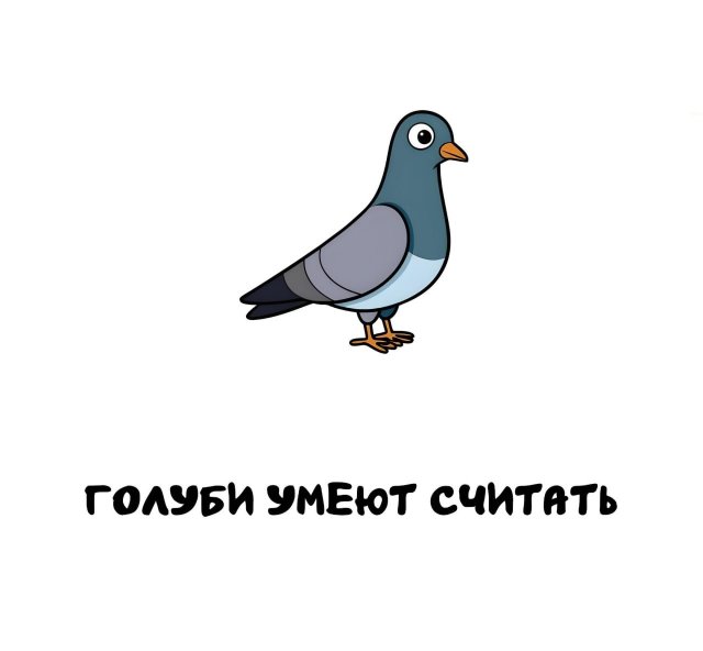 Интересные короткие факты на все случаи жизни