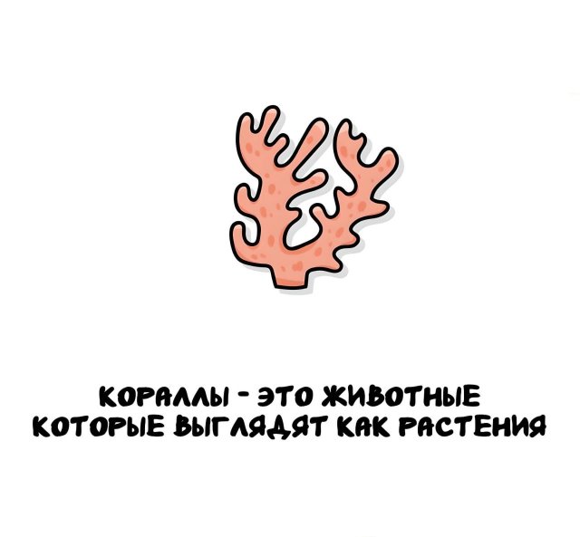 Интересные короткие факты на все случаи жизни