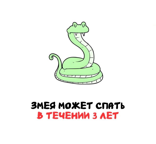 Интересные короткие факты на все случаи жизни