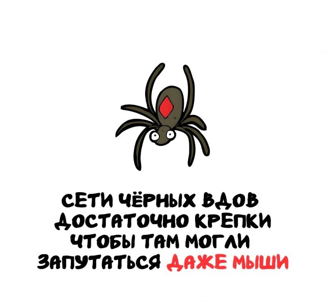 Интересные короткие факты на все случаи жизни