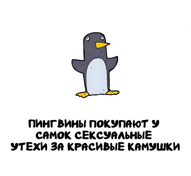 Интересные короткие факты на все случаи жизни