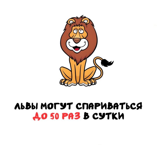 Интересные короткие факты на все случаи жизни