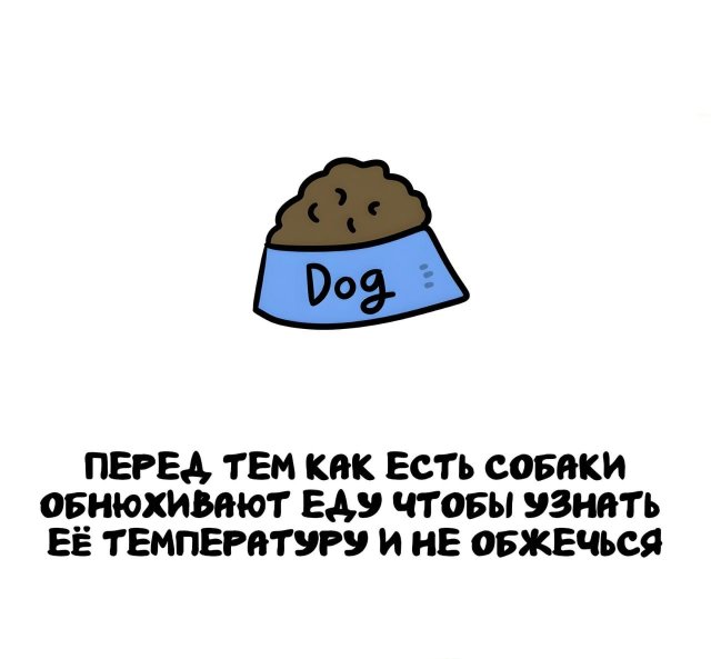 Интересные короткие факты на все случаи жизни