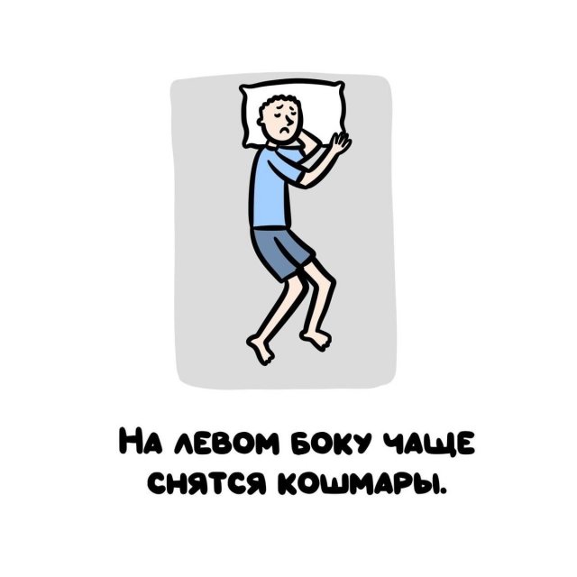 Интересные короткие факты на все случаи жизни