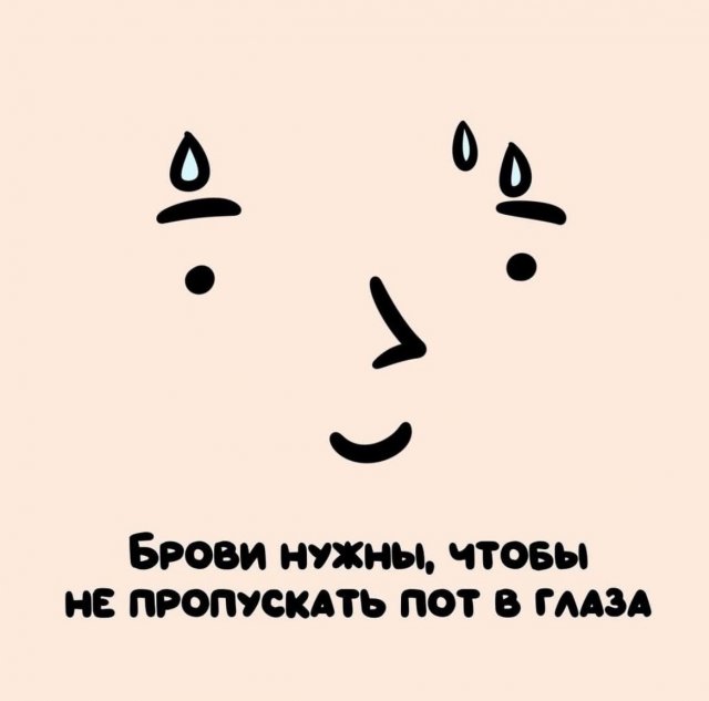 Интересные короткие факты на все случаи жизни