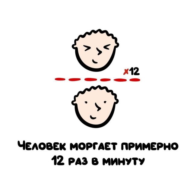 Интересные короткие факты на все случаи жизни