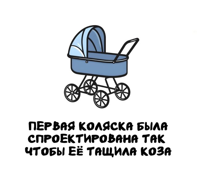 Интересные короткие факты на все случаи жизни