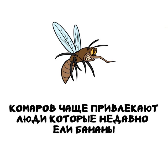 Интересные короткие факты на все случаи жизни