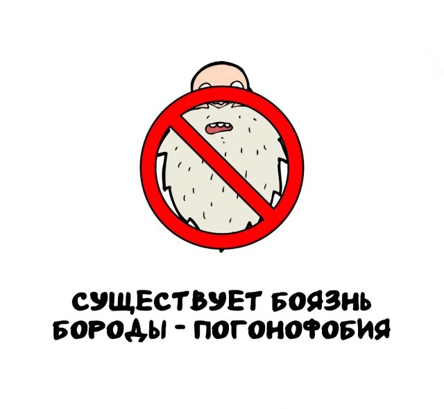Интересные короткие факты на все случаи жизни