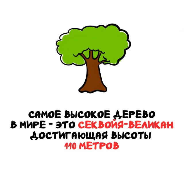 Интересные короткие факты на все случаи жизни