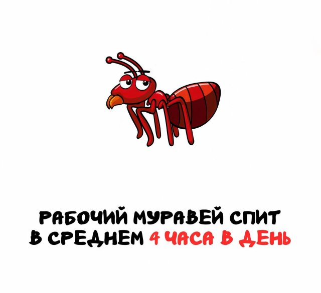 Интересные короткие факты на все случаи жизни