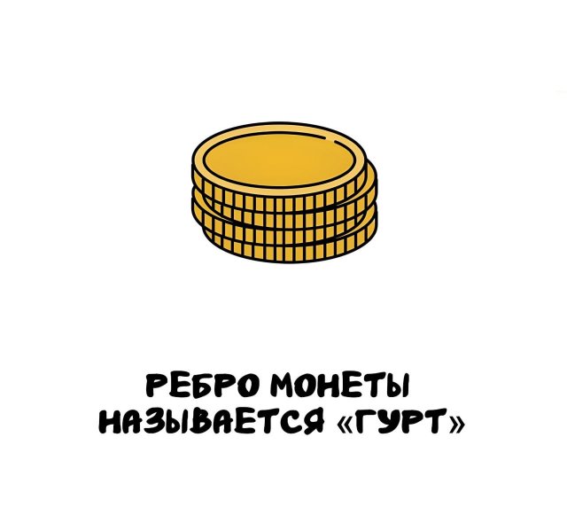 Интересные короткие факты на все случаи жизни