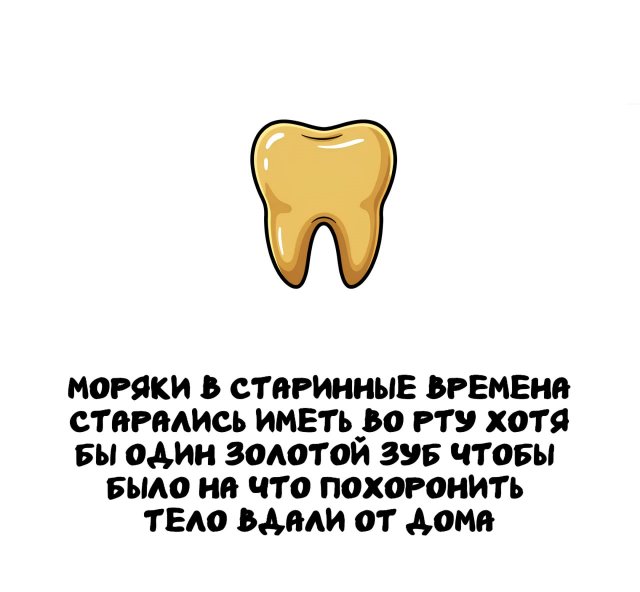 Интересные короткие факты на все случаи жизни