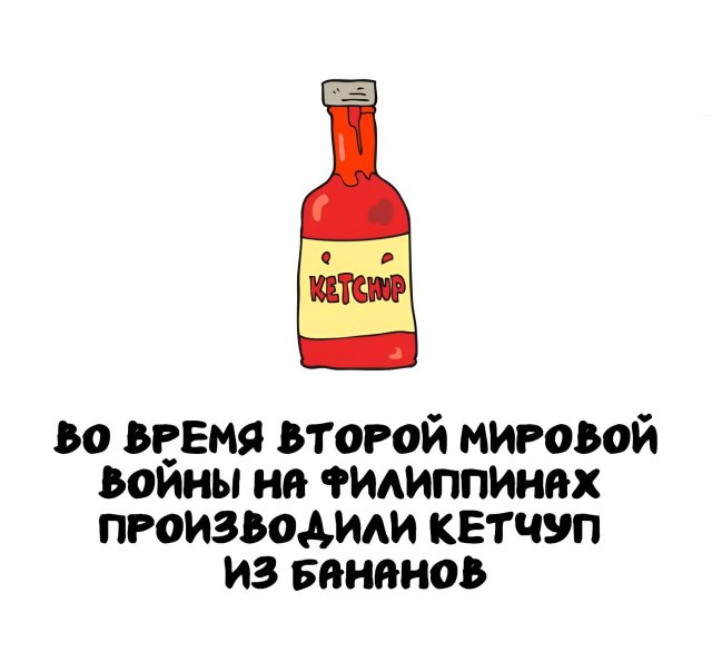 Интересные короткие факты на все случаи жизни