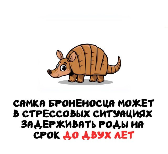 Интересные короткие факты на все случаи жизни
