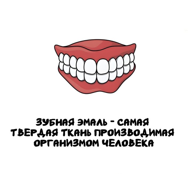 Интересные короткие факты на все случаи жизни
