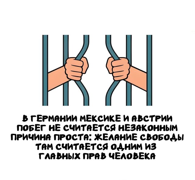 Интересные короткие факты на все случаи жизни