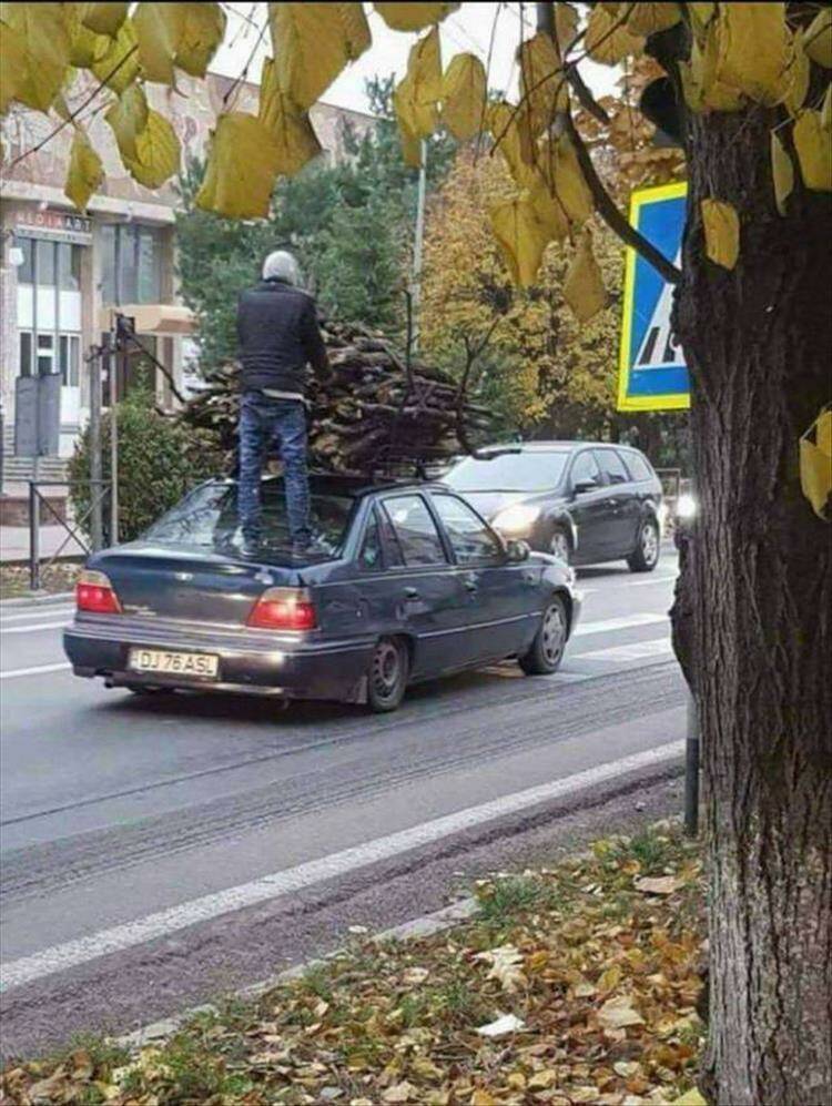 Подборка прикольных картинок