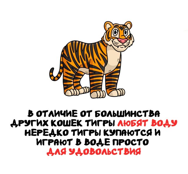 Интересные короткие факты на все случаи жизни
