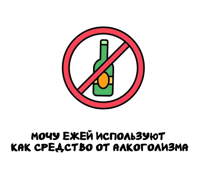 Интересные короткие факты на все случаи жизни