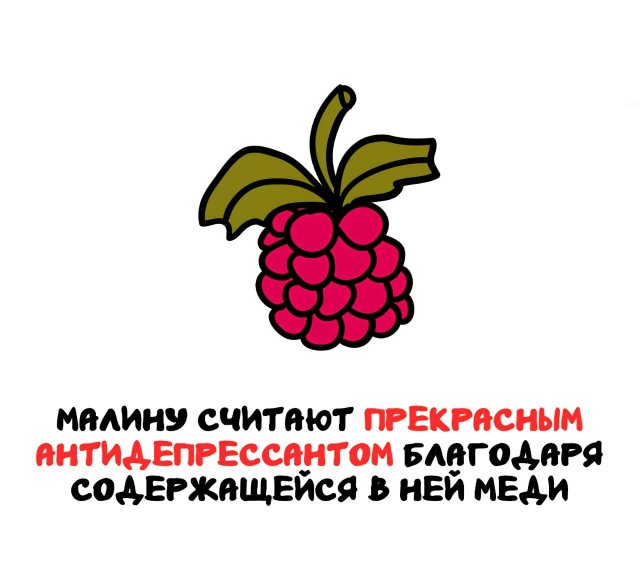 Интересные короткие факты на все случаи жизни