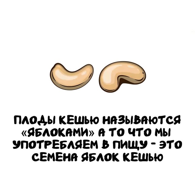 Интересные короткие факты на все случаи жизни