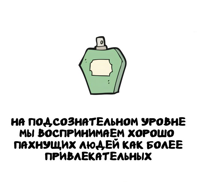 Интересные короткие факты на все случаи жизни