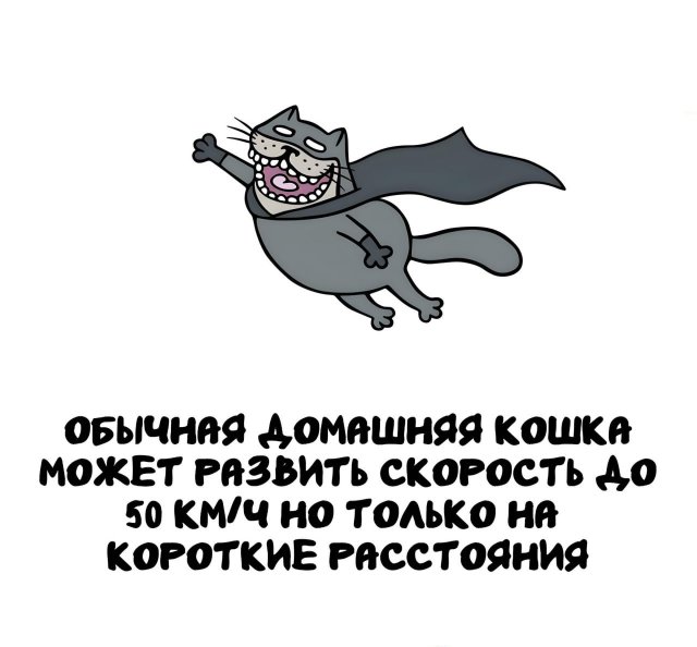 Интересные короткие факты на все случаи жизни