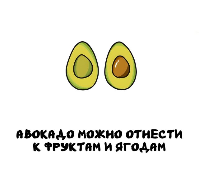 Интересные короткие факты на все случаи жизни