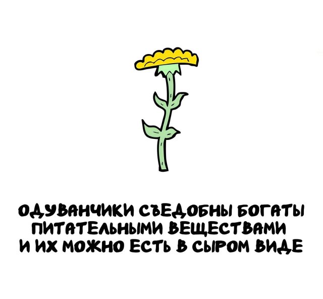 Интересные короткие факты на все случаи жизни