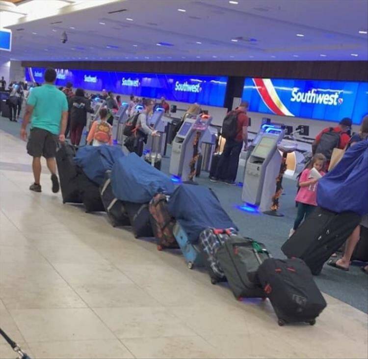 Подборка прикольных картинок