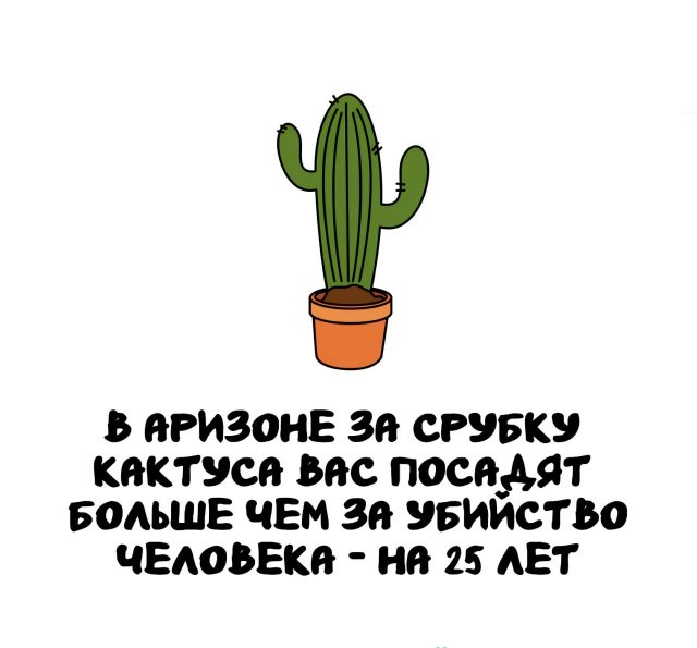 Интересные короткие факты на все случаи жизни